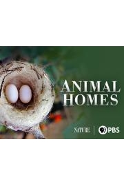 Animal Homes