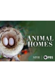 Animal Homes