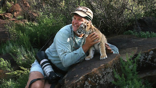 Watch Tiger Man of Africa Online