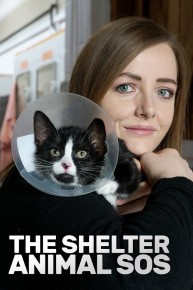 The Shelter: Animal S.O.S.