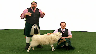 Lawns