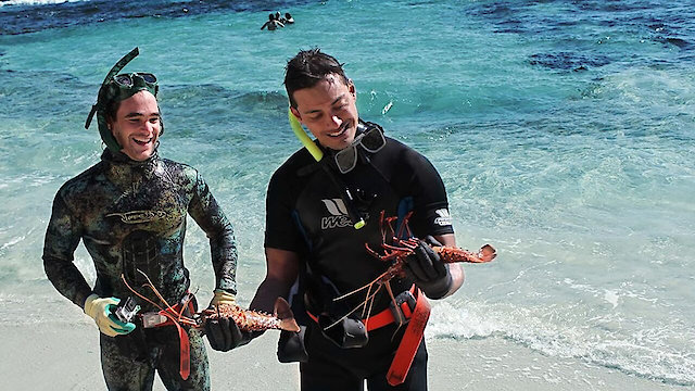 Watch Savour Australia Online