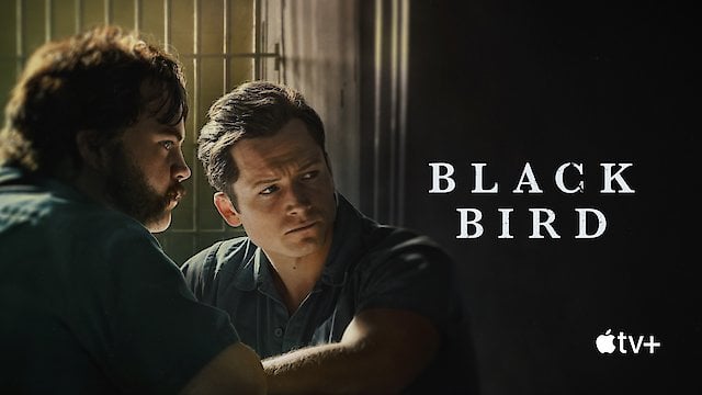 Watch Black Bird Online