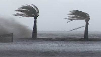 Force of Nature