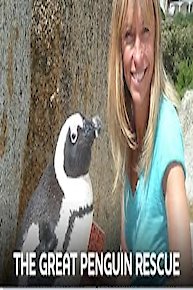 The Great Penguin Rescue
