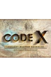 Code X poster