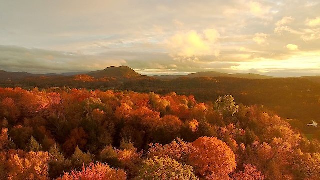 Watch America's Wild Seasons Online