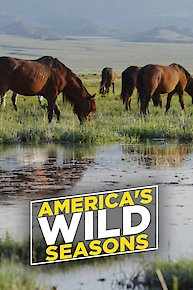 America's Wild Seasons