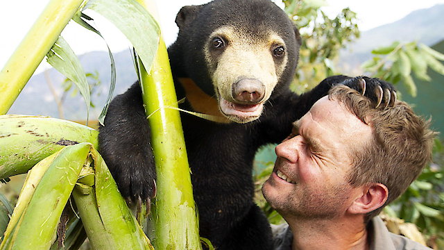 Watch Bears About the House Online