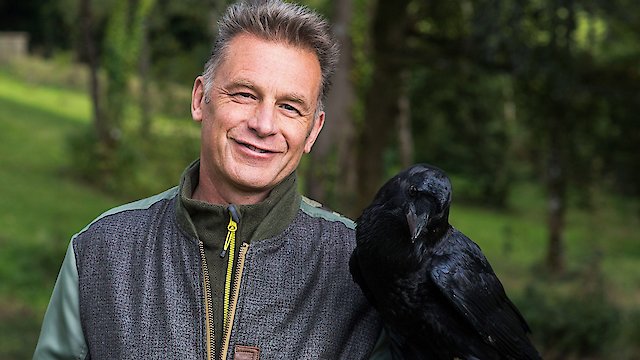 Watch Chris Packham's Animal Einsteins Online