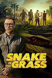 Snake in the Grass poster