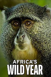 Africa's Wild Year poster