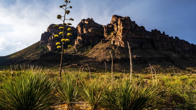 Watch America's National Parks Online