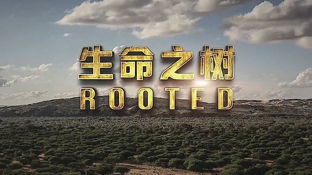 Watch Rooted Online