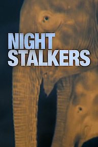 Night Stalkers