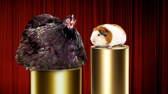 Watch Going Fur Gold Online