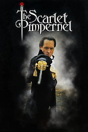 Scarlet Pimpernel