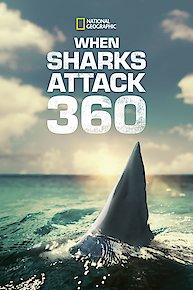 When Sharks Attack 360