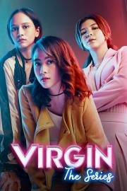 Virgin: The Series poster