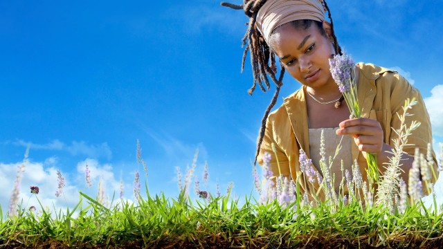 Watch Farm Dreams Online