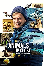 Animals Up Close with Bertie Gregory poster