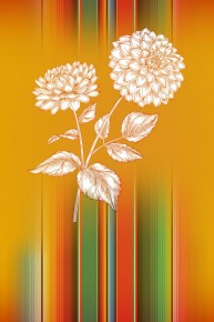 Hispanic Heritage Month: Entre Nos