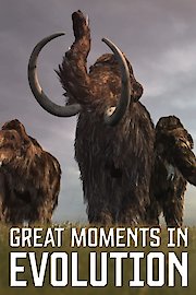 Great Moments in Evolution poster