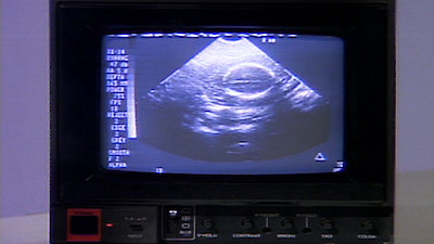 The One With The Sonogram At The End
