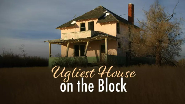 Watch Ugliest House on the Block Online