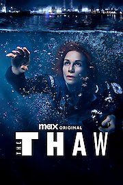 The Thaw poster