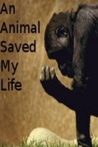 An Animal Saved My Life