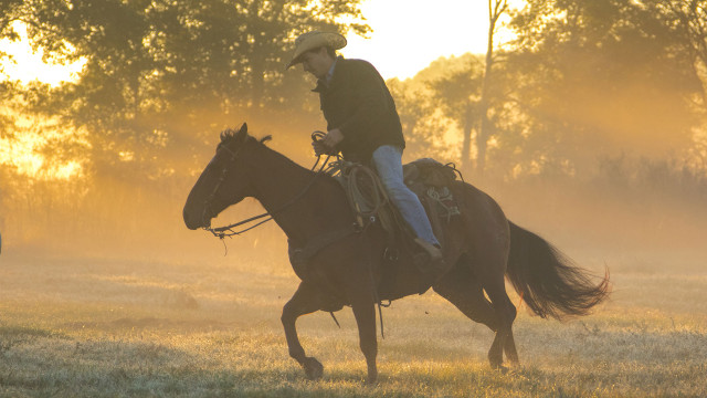 Watch The Cowboy Way: Alabama Online