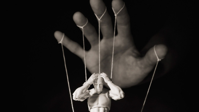 Watch The Jim Tavaré Show Online