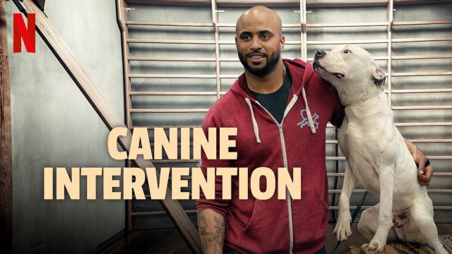 Canine Intervention - Where To Watch TV Show