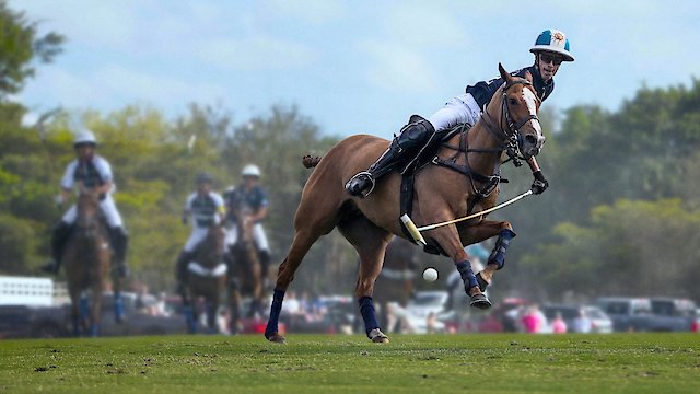 Watch Polo Online