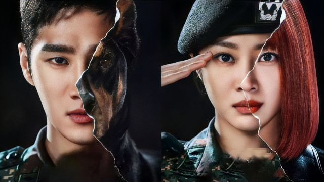 Watch Military Prosecutor Doberman Online