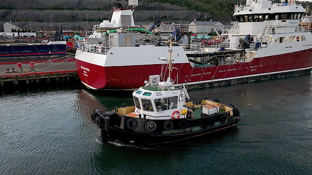 Watch East Harbour Heroes Online