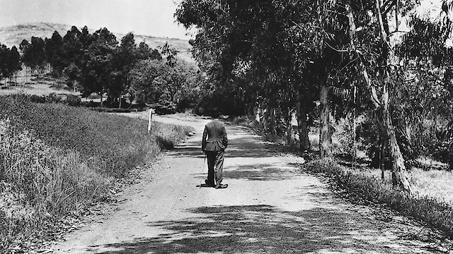 Watch Chaplin's Essanay Comedies Online
