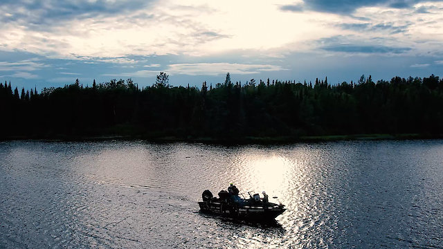 Watch Roadfish Online