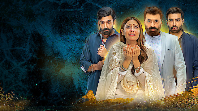 Watch Dil Zaar Zaar Online