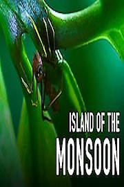 Island Of The Monsoon poster