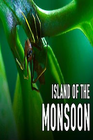 Island Of The Monsoon