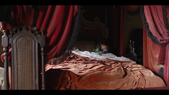 Watch The History of Home Narrated by Nick Offerman Online
