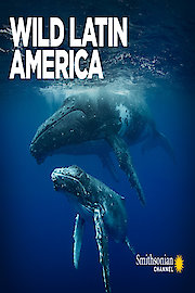 Wild Latin America poster