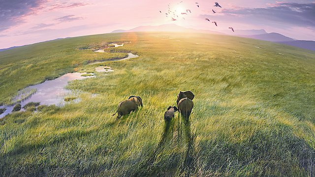 Watch Planet Earth III Online