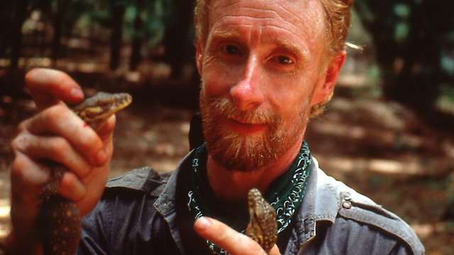 Watch O'Shea's Big Adventure Online