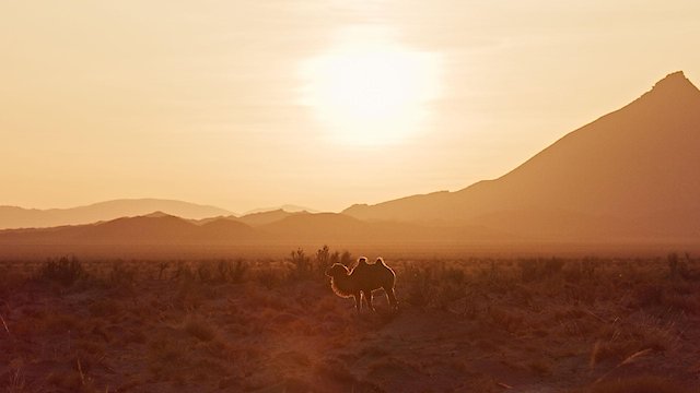 Watch Evolution Earth Online