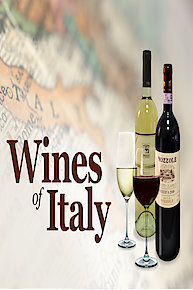 The Everyday Guide to Wines of Italy