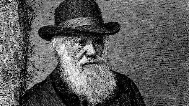Watch The Genius of Charles Darwin Online