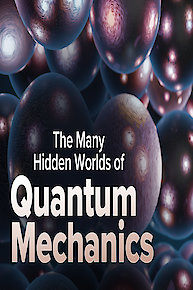 The Many Hidden Worlds of Quantum Mechanics